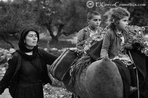 new eshop with soaps from donkey milk-1