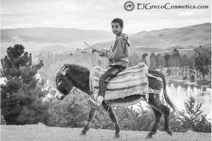 Donkey milk The white gold in a soap01