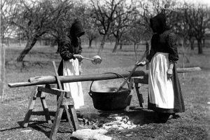 5-benefits-of-cold-process-donkey-milk-soap