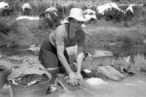 olive oil soap benefits with donkeys milk soap benefits is the perfect cosmetics combination