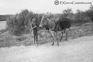 why donkeys milk soap from el greco cosmetics