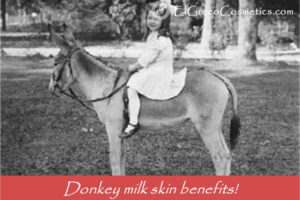 Donkey milk skin benefits