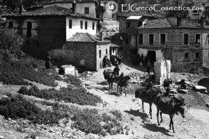 why donkey milk soaps are the best handmade skin care products