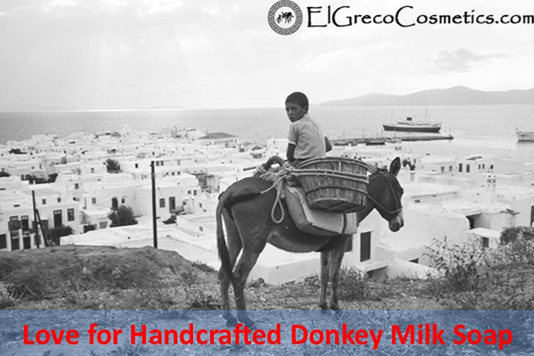 Love for Handcrafted Donkey Milk Soap