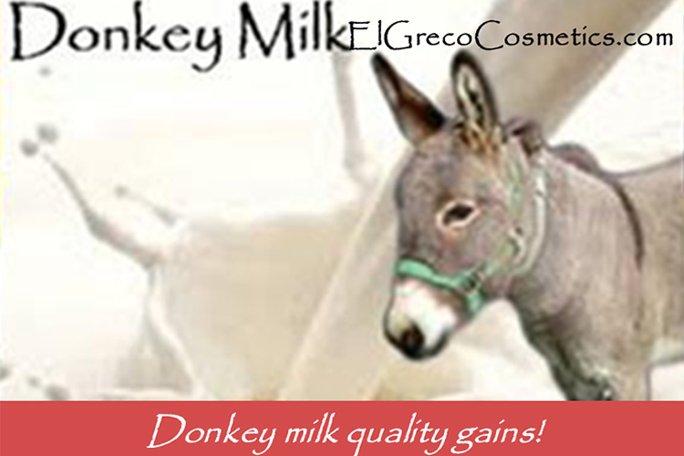 Donkey milk quality gains