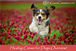 Healing Cream for Dogs Overview